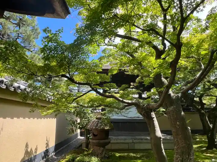 黄梅院(京都府)