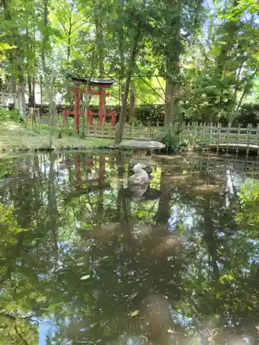 調神社の庭園