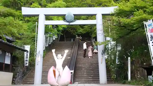 桃太郎神社（栗栖）の鳥居