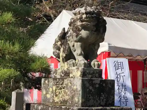 出雲大神宮の狛犬