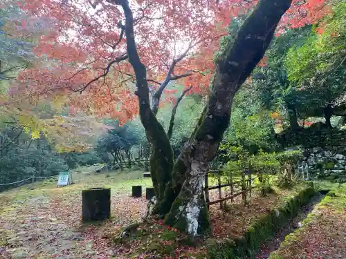 鰐淵寺(島根県)