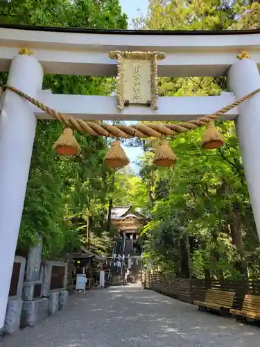 宝登山神社(埼玉県)