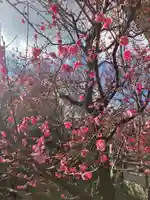 北野天満宮(京都府)