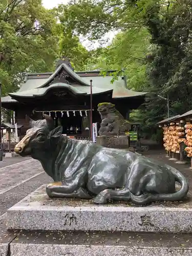 谷保天満宮の狛犬