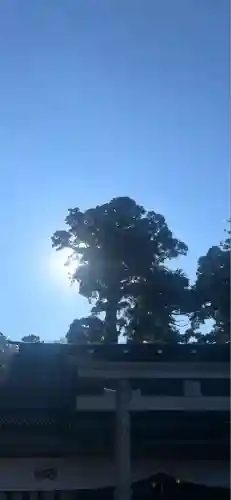 鹿島神宮(茨城県)