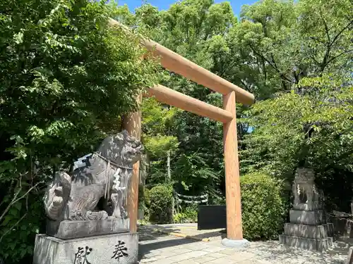 堀越神社(大阪府)