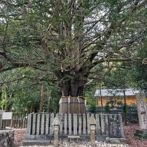 熊野速玉大社(和歌山県)