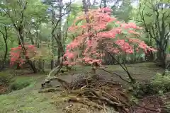 深山巴の宿の自然