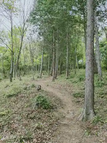 賀茂別雷神社の周辺
