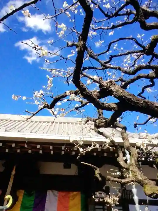 常性寺(東京都)