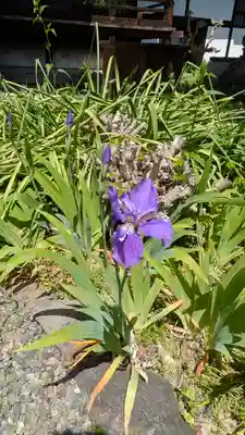 得浄明院(善光寺別院)(京都府)