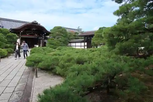 仁和寺の庭園