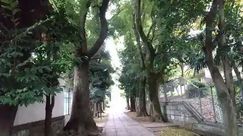 桐ヶ谷氷川神社の景色