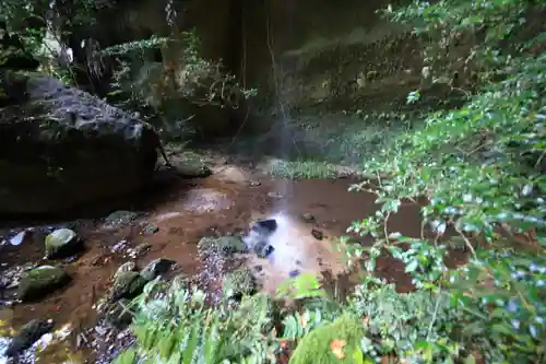 岩屋寺の自然