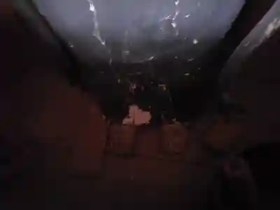 海善寺(三重県)