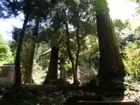 瀧浪神社の自然