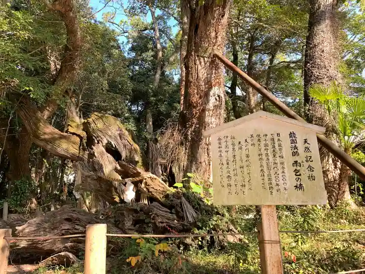 大山祇神社(愛媛県)