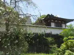 岡寺（龍蓋寺）(奈良県)