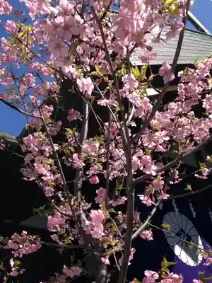 東京大神宮(東京都)