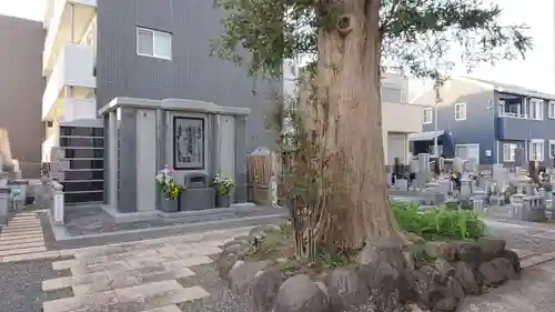 遠成寺(静岡県)