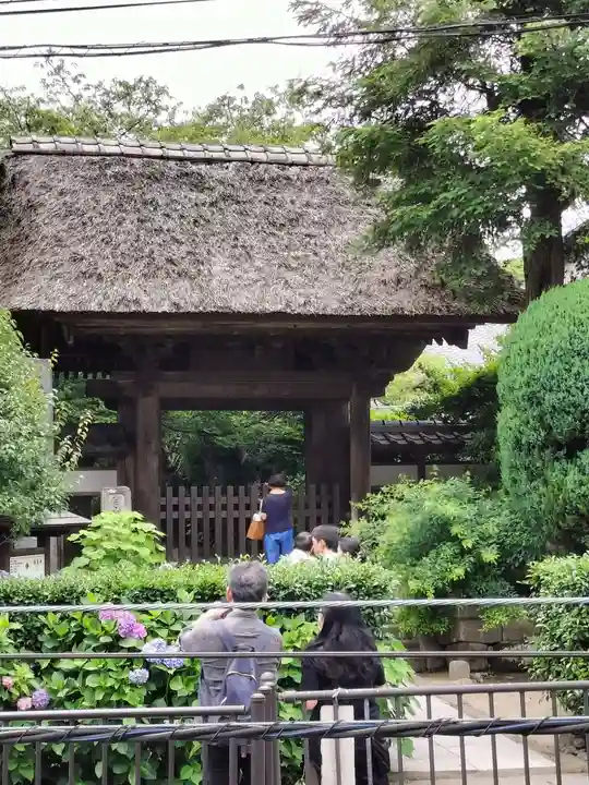 極楽寺(霊鷲山感應院極楽律寺)の山門・神門