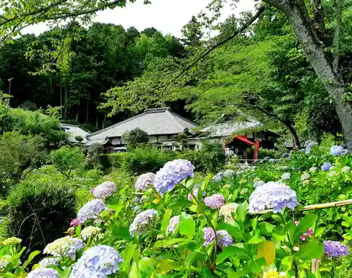 極楽寺(静岡県)