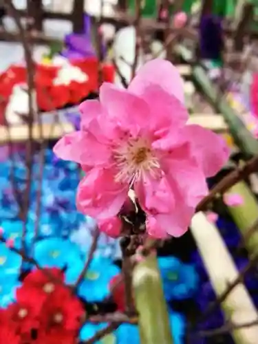 下谷神社(東京都)