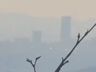 醍醐寺（上醍醐）(京都府)