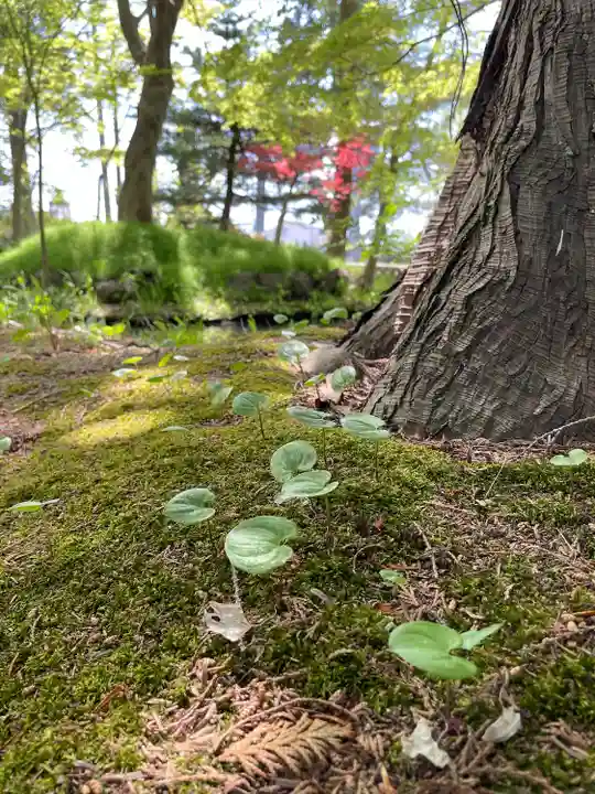 浪岡八幡宮(青森県)