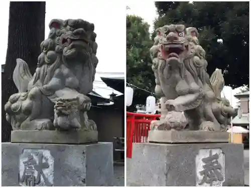 相模原氷川神社の狛犬