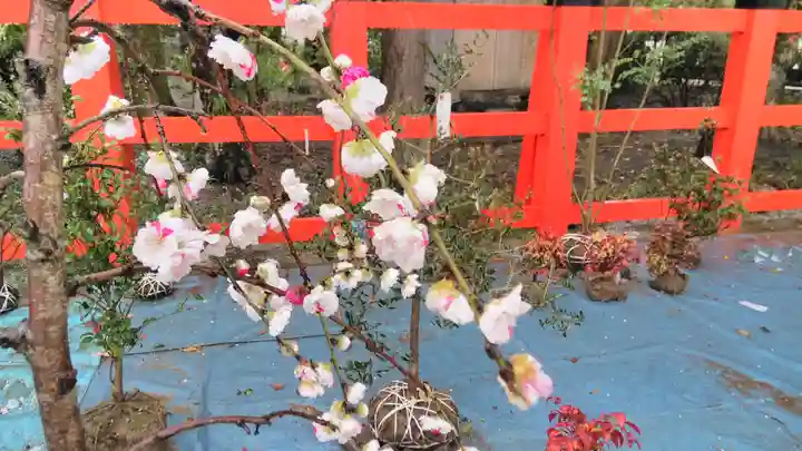 賀茂別雷神社(上賀茂神社)のその他建物