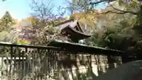 伊和都比売神社(兵庫県)