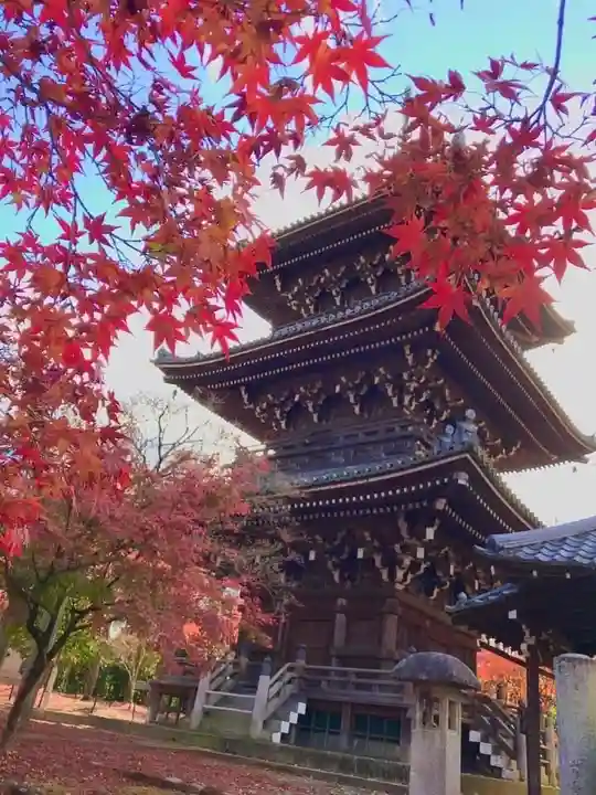 真正極楽寺(真如堂)(京都府)