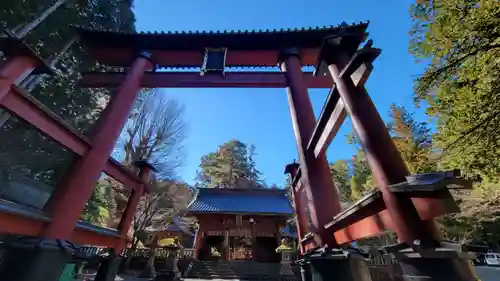 北口本宮冨士浅間神社の鳥居