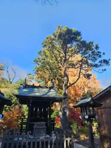 武蔵一宮氷川神社(埼玉県)