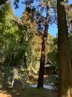 熊野神社(千葉県)
