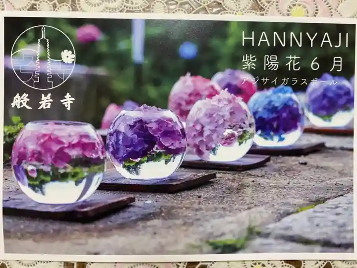 般若寺 ❁コスモス寺❁(奈良県)