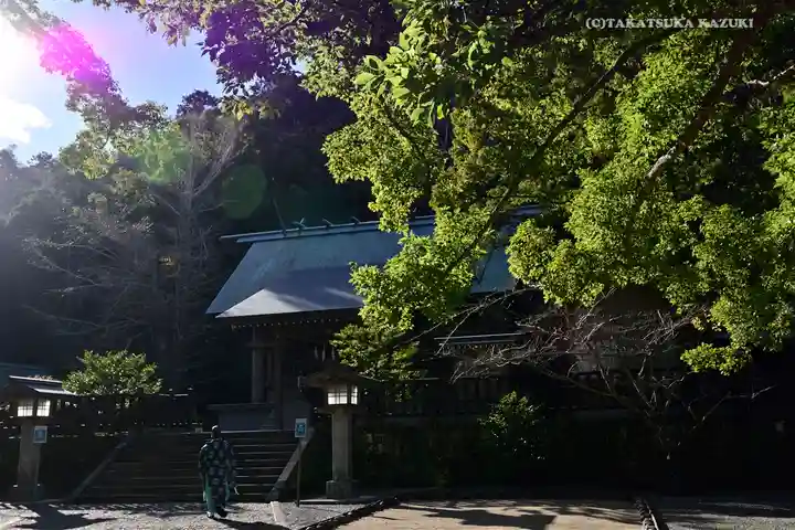 安房神社(千葉県)