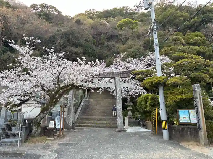 忌部神社(徳島県)