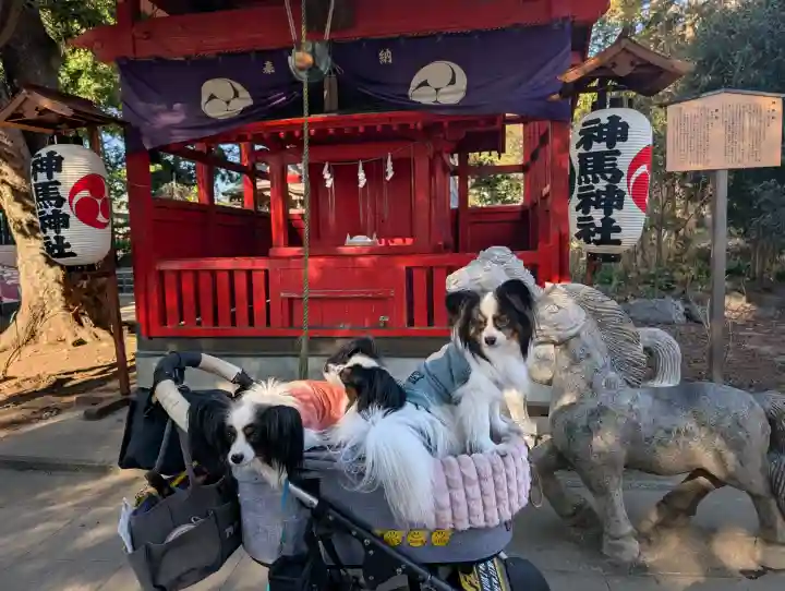 白岡八幡神社の{uncategorized: "未分類", other: "その他", undefined: "問題あり", building: "その他建物", grave: "お墓", sacred_gate: "鳥居", guardian: "狛犬", statue: "像", buddha: "仏像", history: "歴史", nature: "自然", garden: "庭園", animal: "動物", pagoda: "塔", temizu: "手水舎", mountain_gate: "山門・神門", sanctuary: "本殿・本堂", subordinate: "末社・摂社", art: "芸術", scenery: "景色", jizo: "地蔵", ema: "絵馬", goshuin: "御朱印", omikuji: "おみくじ", items: "授与品その他", amulet: "お守り", goshuincho: "御朱印帳", eats: "食事", festival: "お祭り", votive_dance: "神楽", shichigosan: "七五三参", wedding: "結婚式", experience: "体験その他", initially: "初詣", around: "周辺", anti_infection: "感染症対策"}
