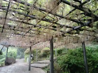 阿智神社の自然