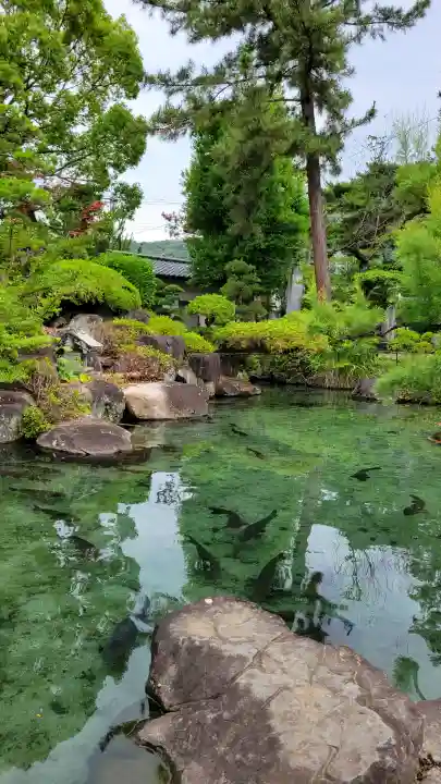 甲斐善光寺(山梨県)