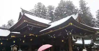 多賀大社の本殿・本堂