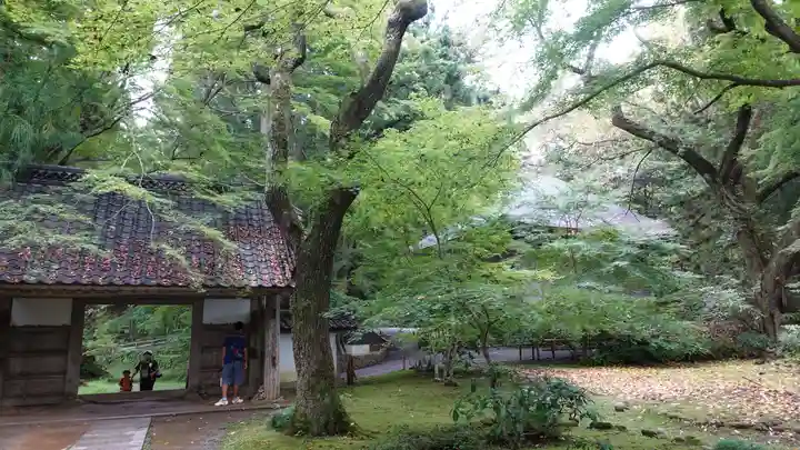 中尊寺金色堂(岩手県)