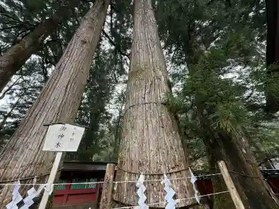 日光二荒山神社(栃木県)