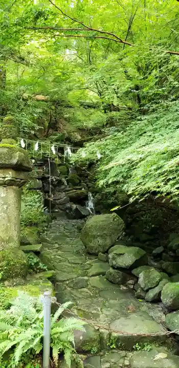 英彦山豊前坊高住神社の自然