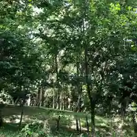 山之神神社(埼玉県)