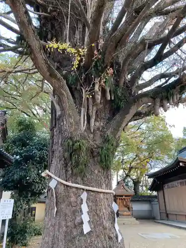 松原八幡神社のその他建物
