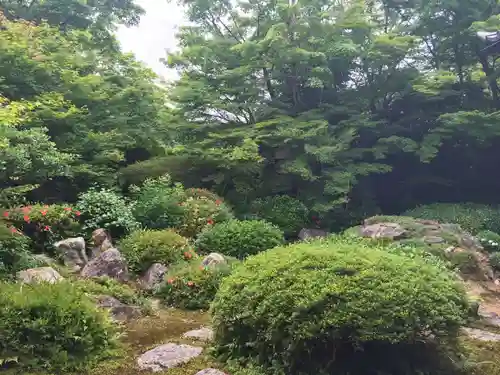 源光庵の庭園