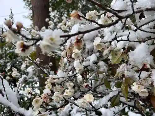 鏡石鹿嶋神社 ＊安産・開運・勝利の神さま＊(福島県)